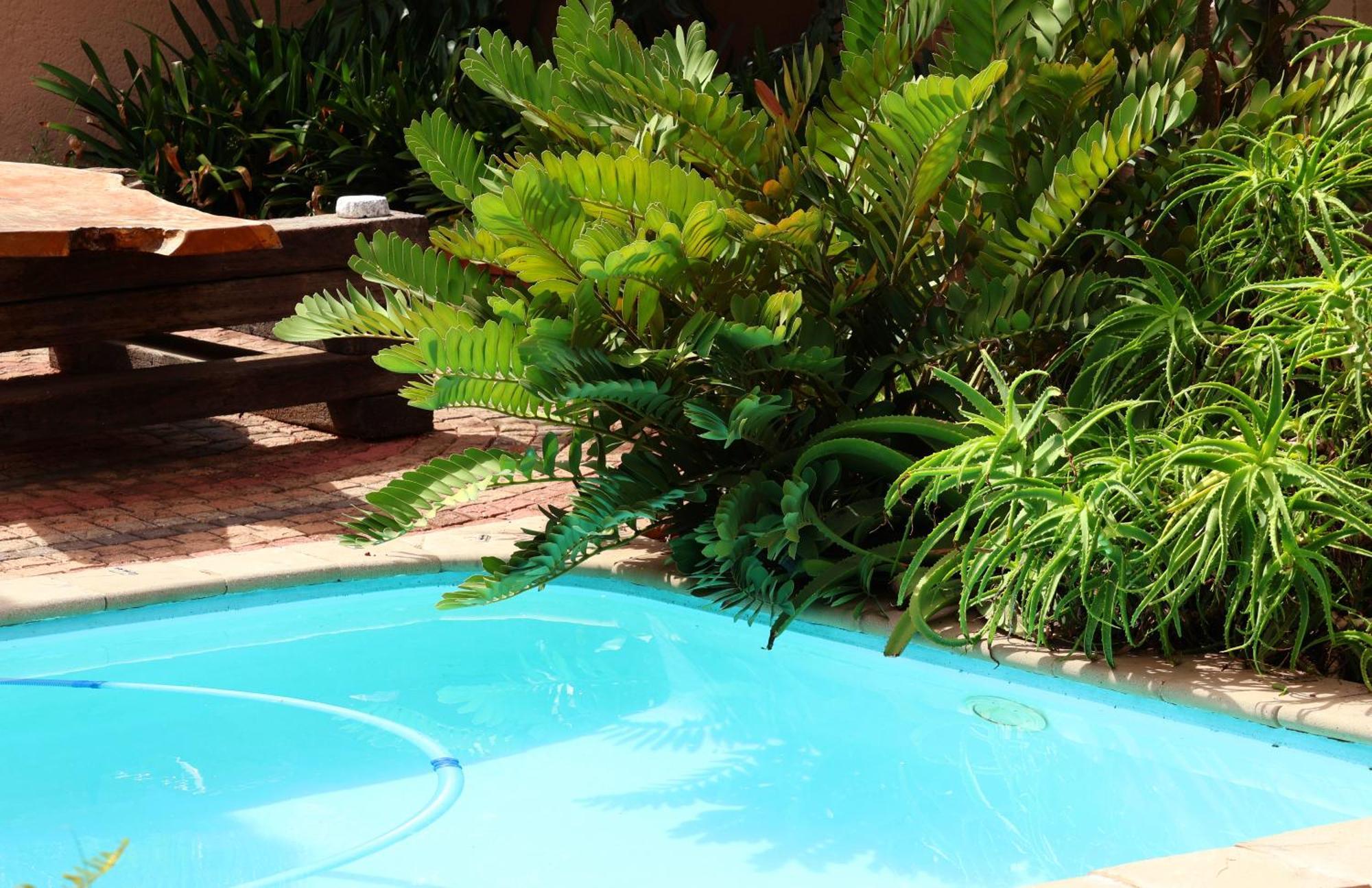 Bed and Breakfast The Leopard Tree Polokwane Exterior foto